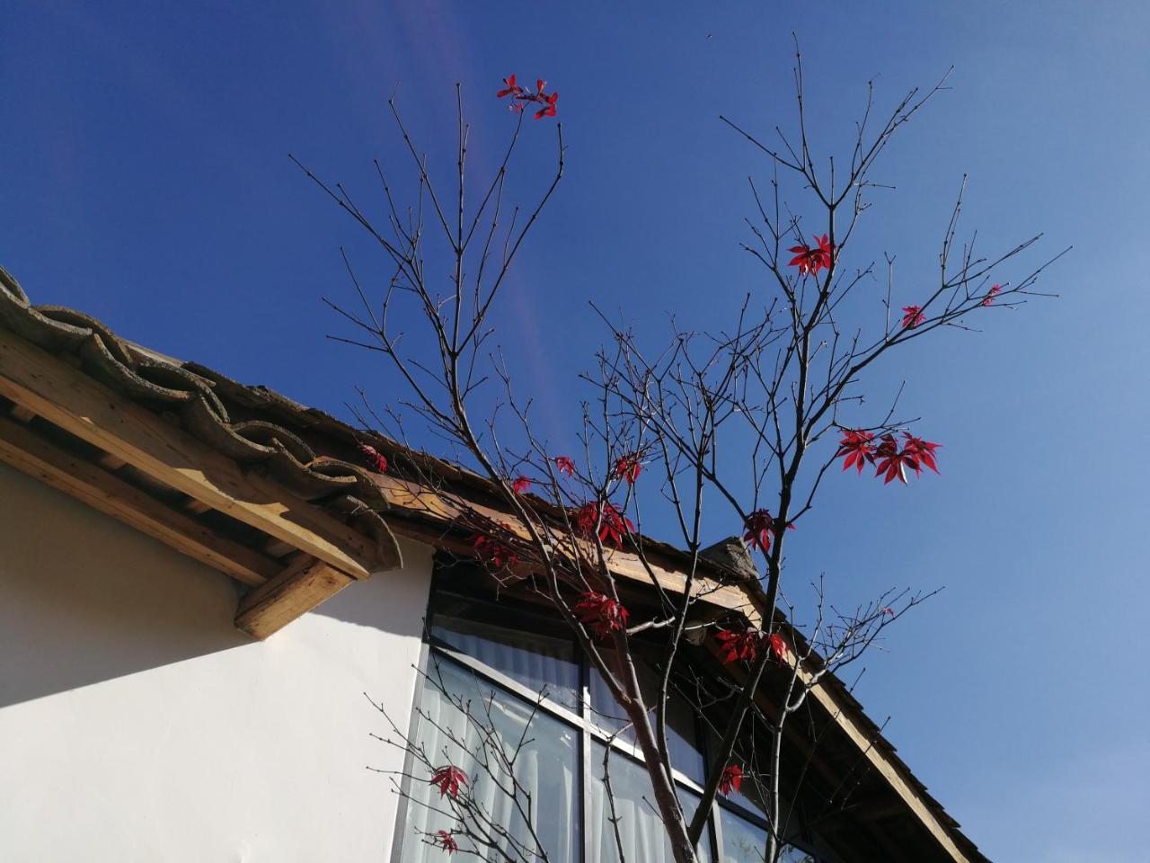 Yan Qi Si He Homestay Kchun-ming Exteriér fotografie